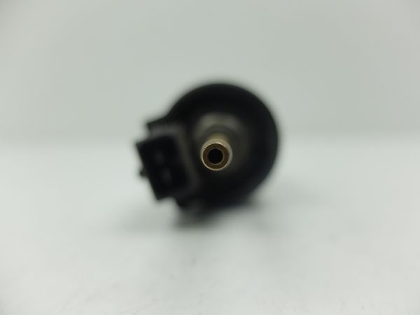 Bomba De Combustible  22450902 Eberspacher Benzin/Diesel