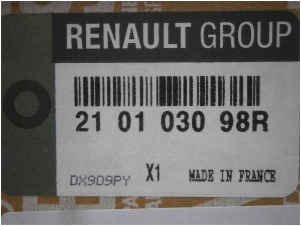Bomba De Agua Original Renault Trafic Master III Espace IV 2.0DCI 210103098R
